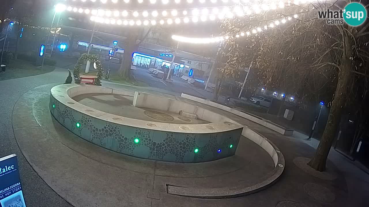 Fontaine à bière LIVE webcam – Or vert – Žalec
