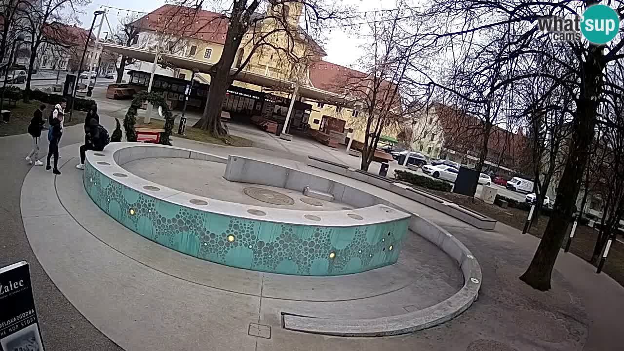 Bier-Springbrunnen Webcam Žalec – Grünen Goldes