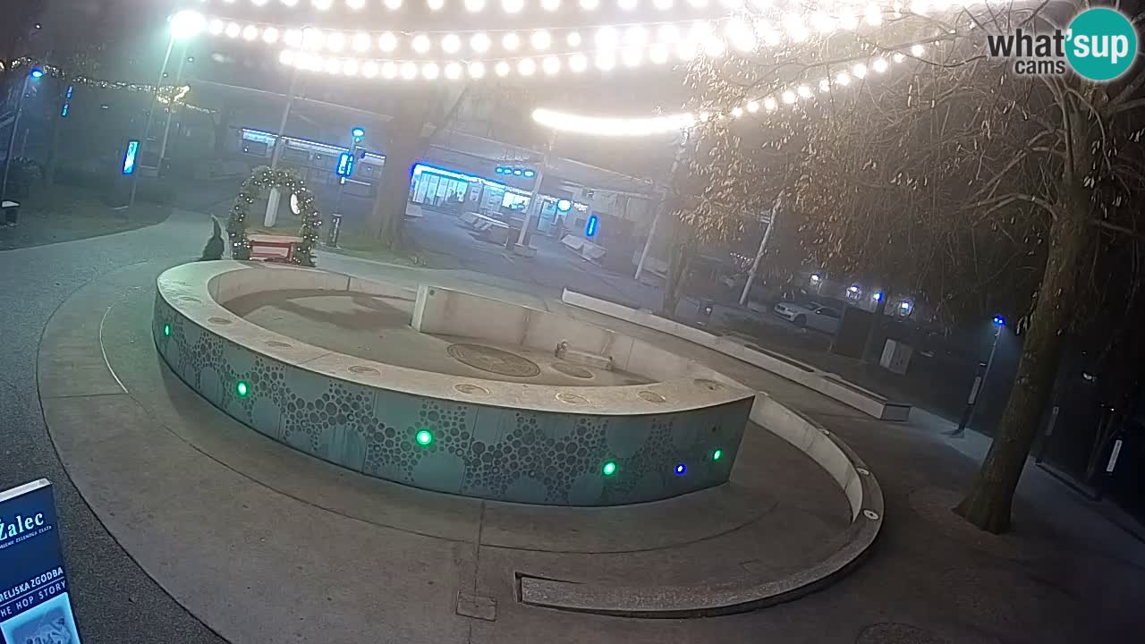 Spletna kamera Fontana Piv – Zeleno zlato Žalec