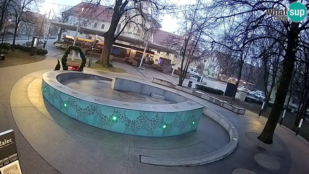 Web kamera Fontana piva – Zeleno zlato – Žalec