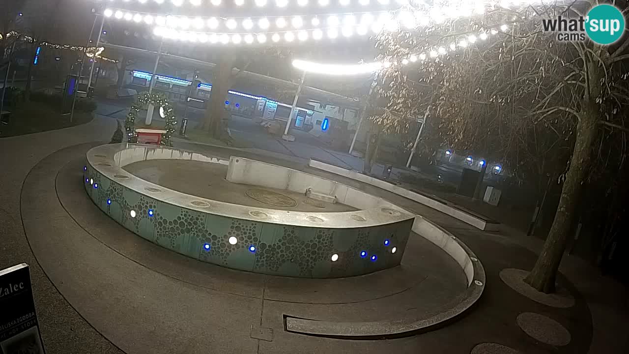 Bier-Springbrunnen Webcam Žalec – Grünen Goldes