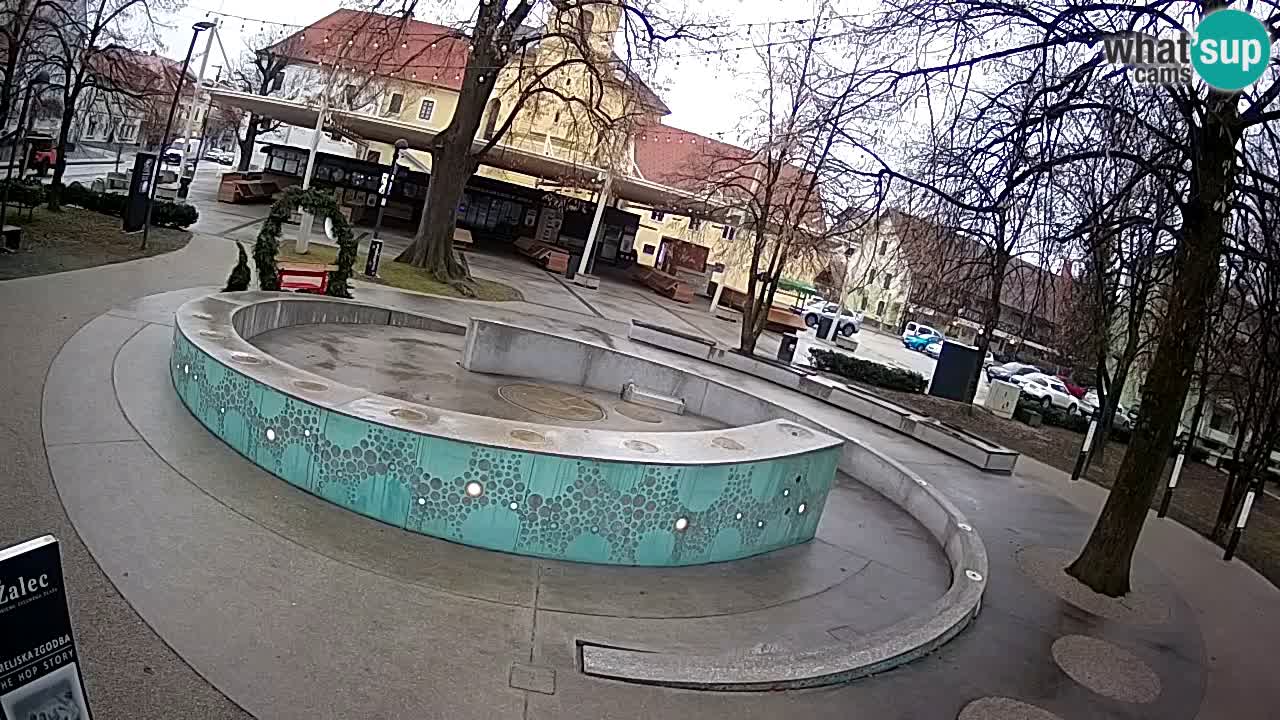 Bier-Springbrunnen Webcam Žalec – Grünen Goldes