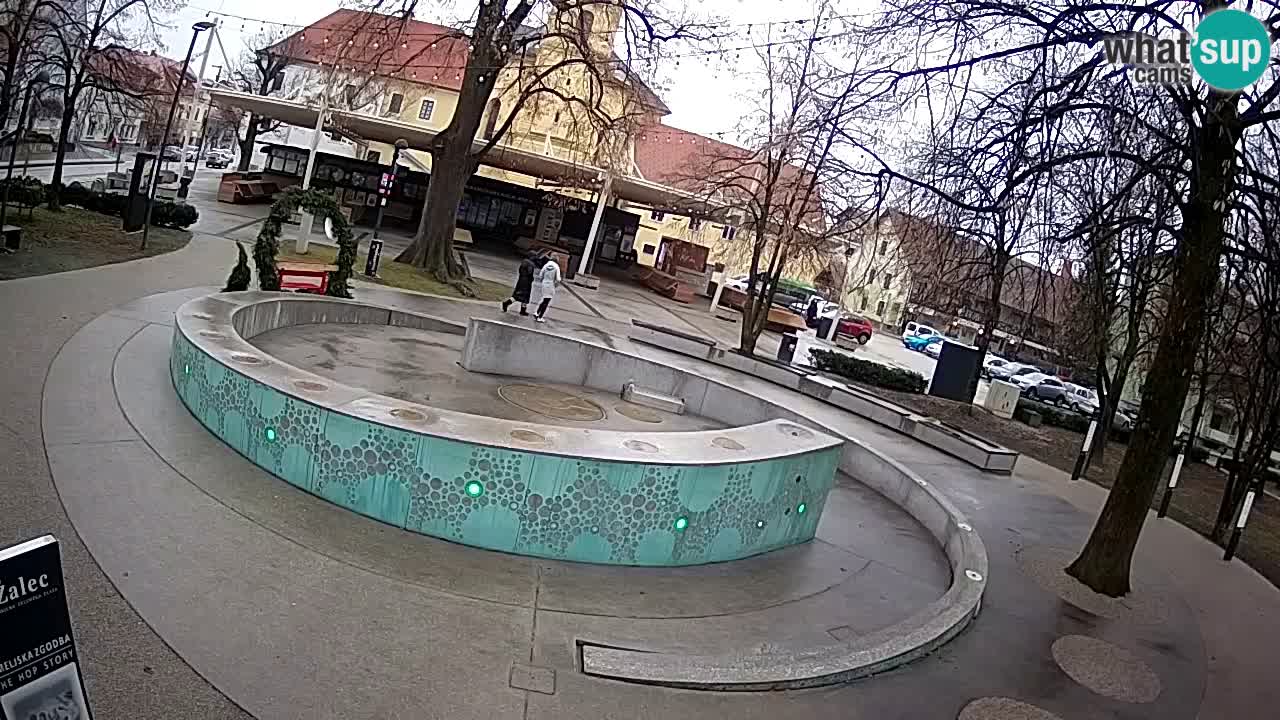 Web kamera Fontana piva – Zeleno zlato – Žalec