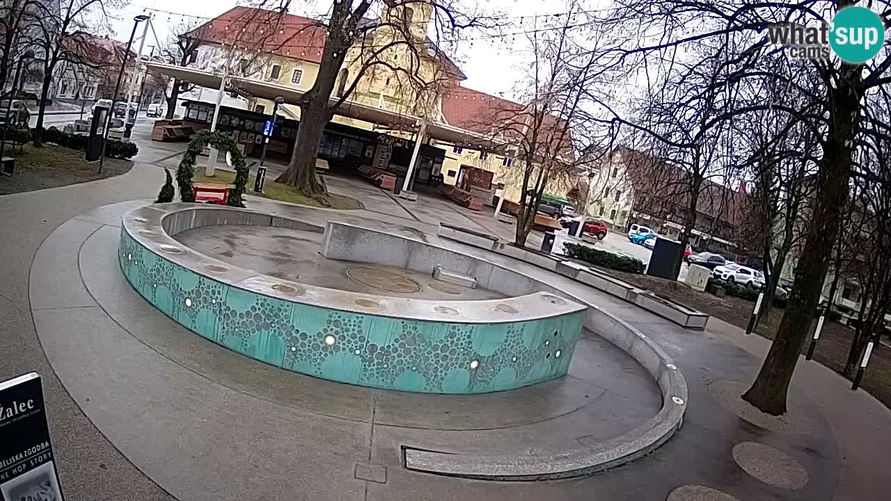 Bier-Springbrunnen Webcam Žalec – Grünen Goldes