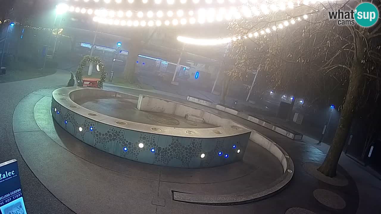 Camera en vivo Fuente de cerveza – Oro verde – Žalec