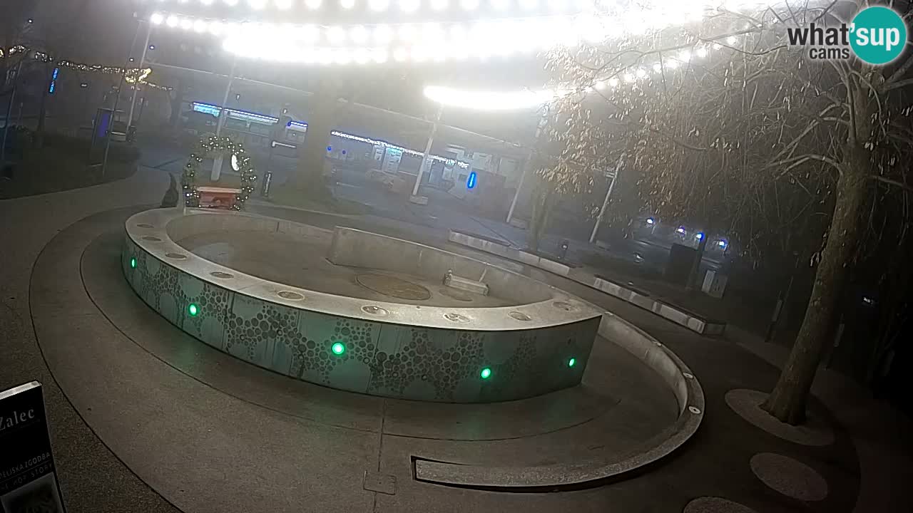 Bier-Springbrunnen Webcam Žalec – Grünen Goldes