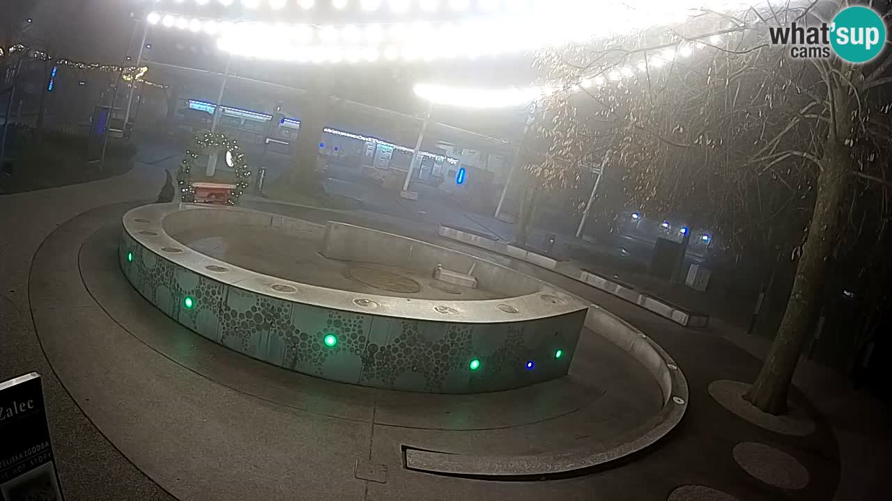 Fontaine à bière LIVE webcam – Or vert – Žalec