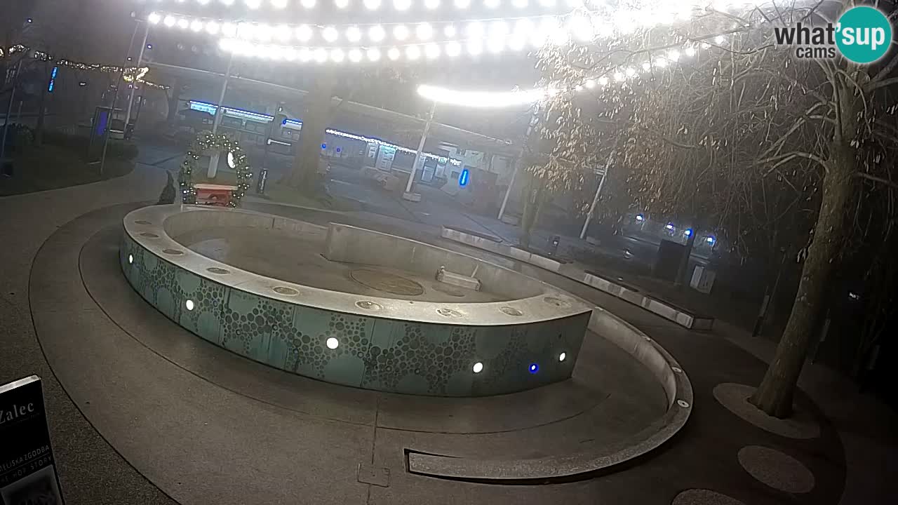 Bier-Springbrunnen Webcam Žalec – Grünen Goldes