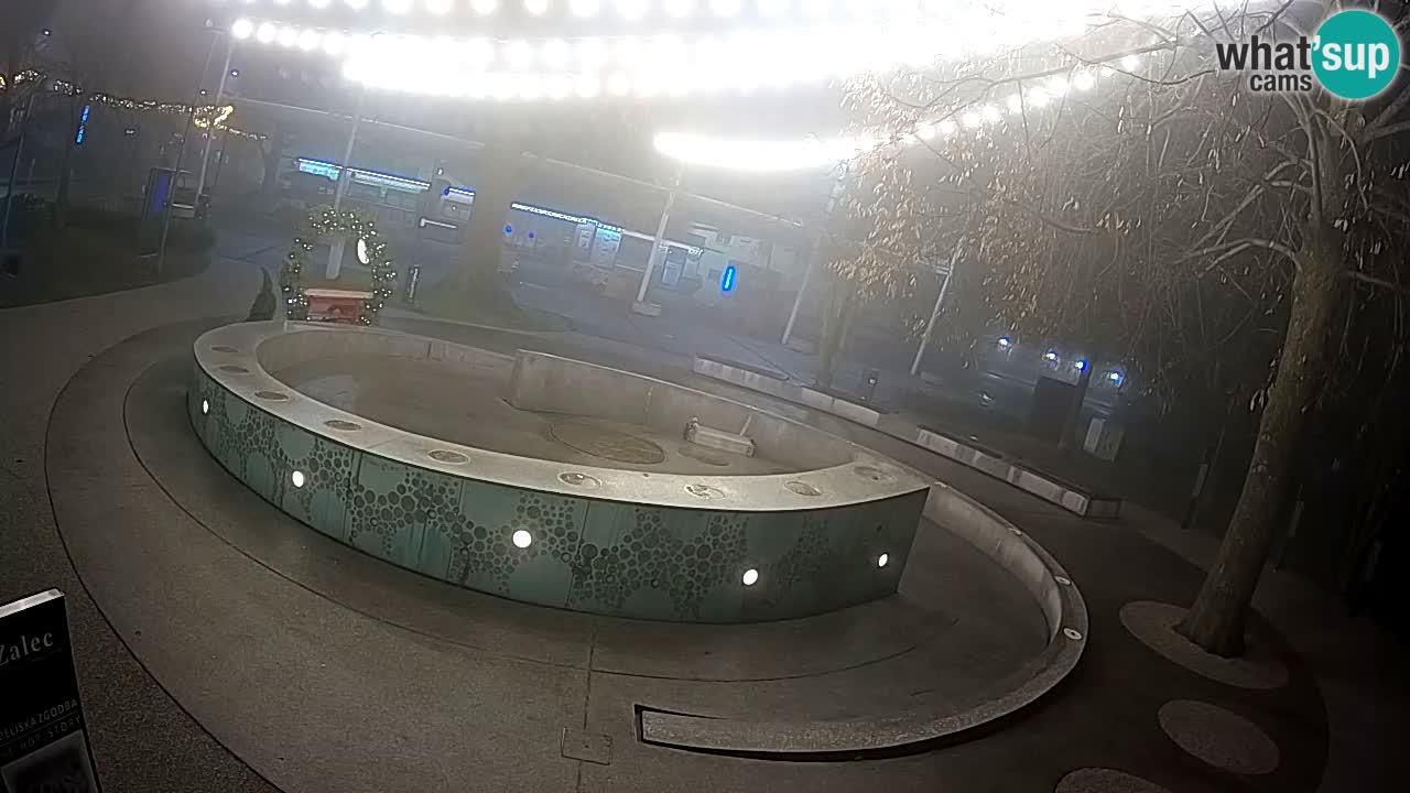 Spletna kamera Fontana Piv – Zeleno zlato Žalec