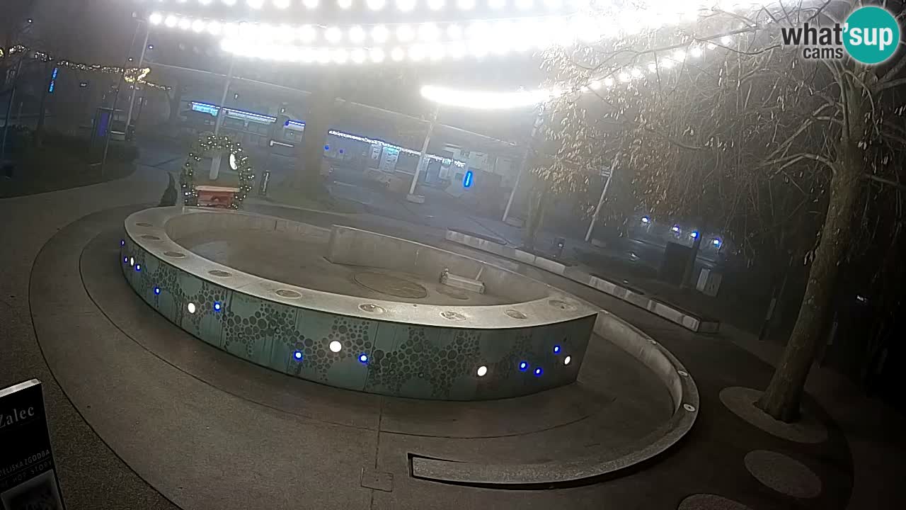 Spletna kamera Fontana Piv – Zeleno zlato Žalec