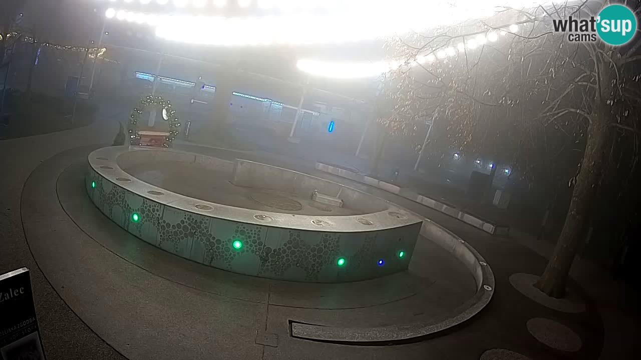 Bier-Springbrunnen Webcam Žalec – Grünen Goldes
