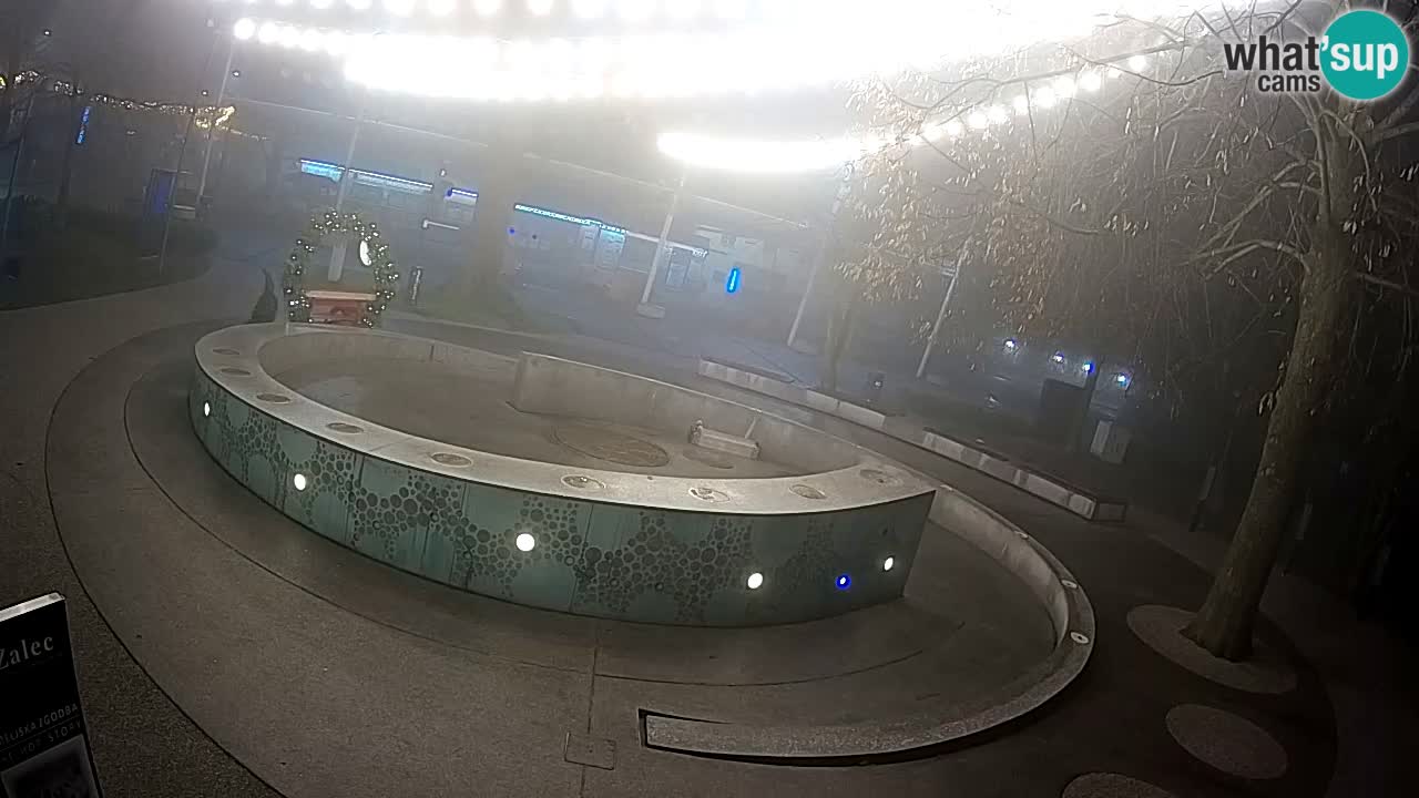 Bier-Springbrunnen Webcam Žalec – Grünen Goldes
