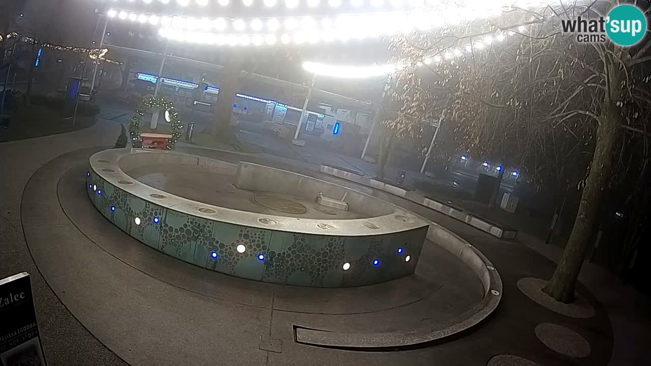 Fontaine à bière LIVE webcam – Or vert – Žalec