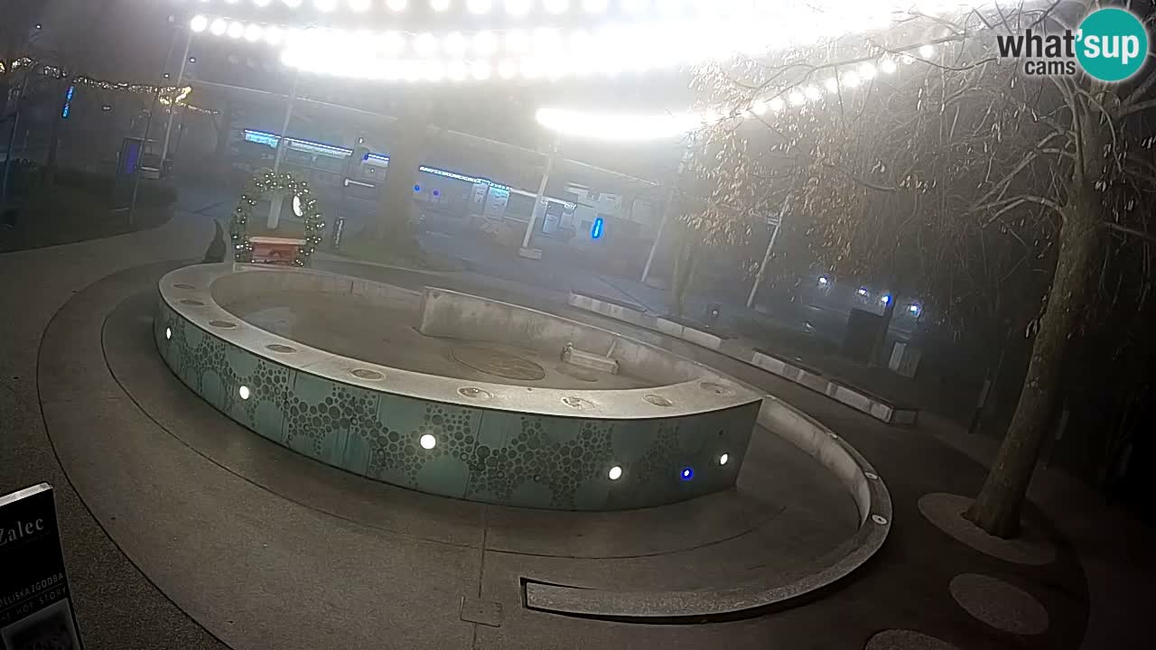 Spletna kamera Fontana Piv – Zeleno zlato Žalec