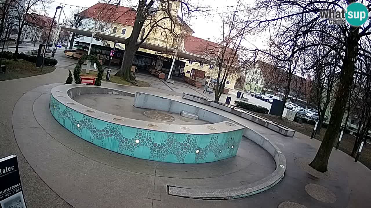 Web kamera Fontana piva – Zeleno zlato – Žalec