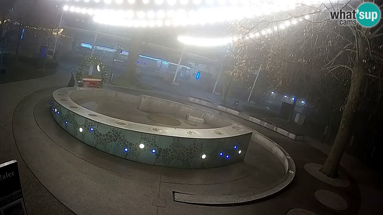 Spletna kamera Fontana Piv – Zeleno zlato Žalec