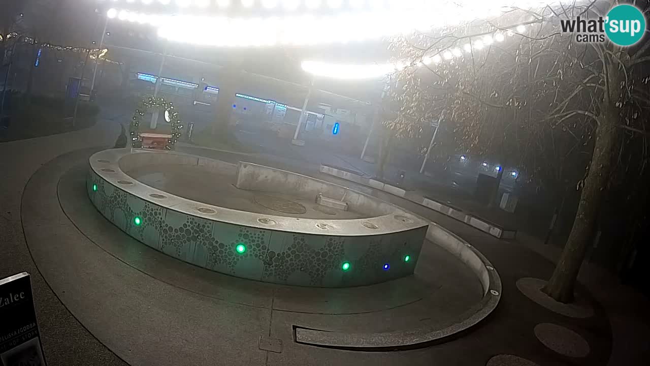 Fontaine à bière LIVE webcam – Or vert – Žalec