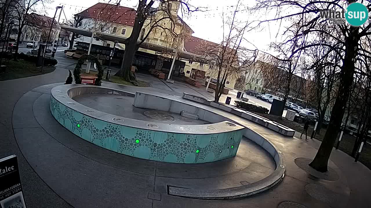 Camera en vivo Fuente de cerveza – Oro verde – Žalec