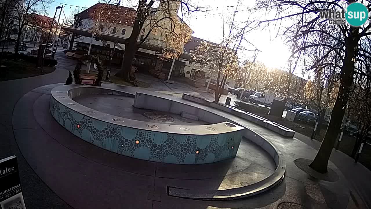 Fontaine à bière LIVE webcam – Or vert – Žalec