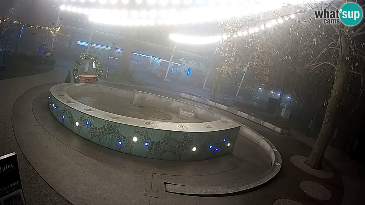 Fontaine à bière LIVE webcam – Or vert – Žalec