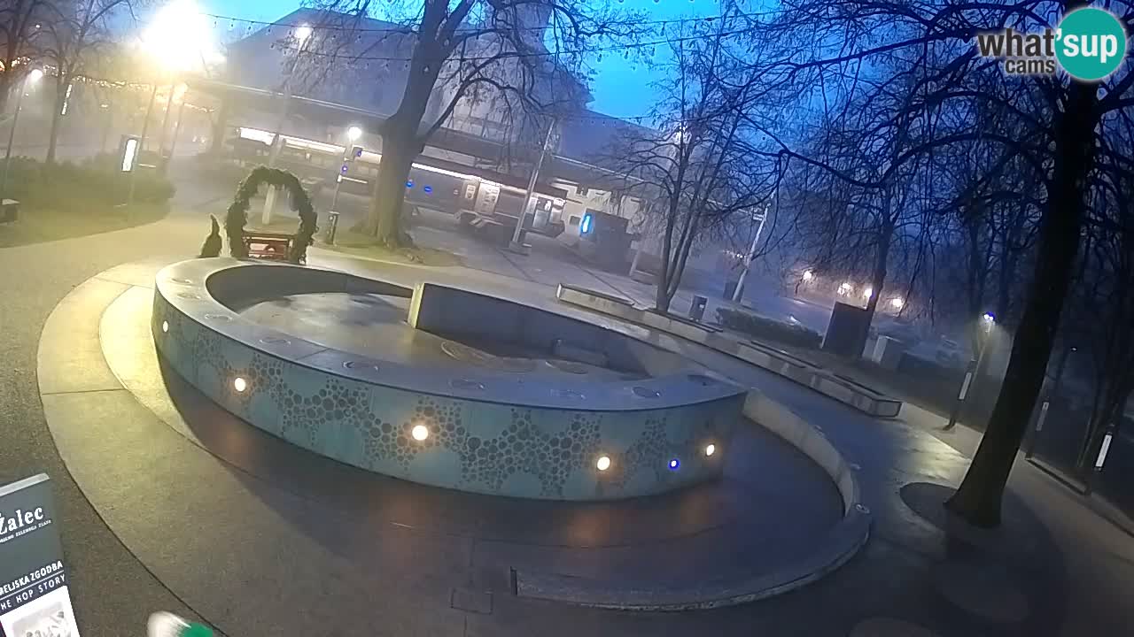 Bier-Springbrunnen Webcam Žalec – Grünen Goldes