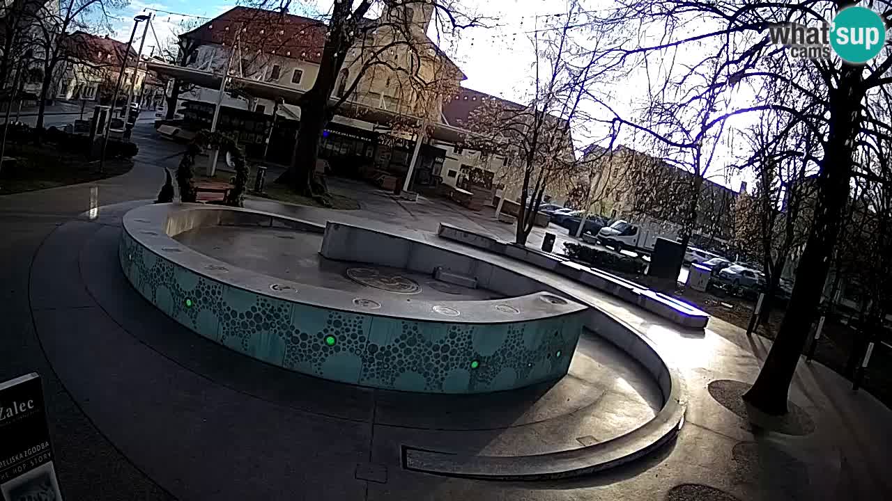 Bier-Springbrunnen Webcam Žalec – Grünen Goldes