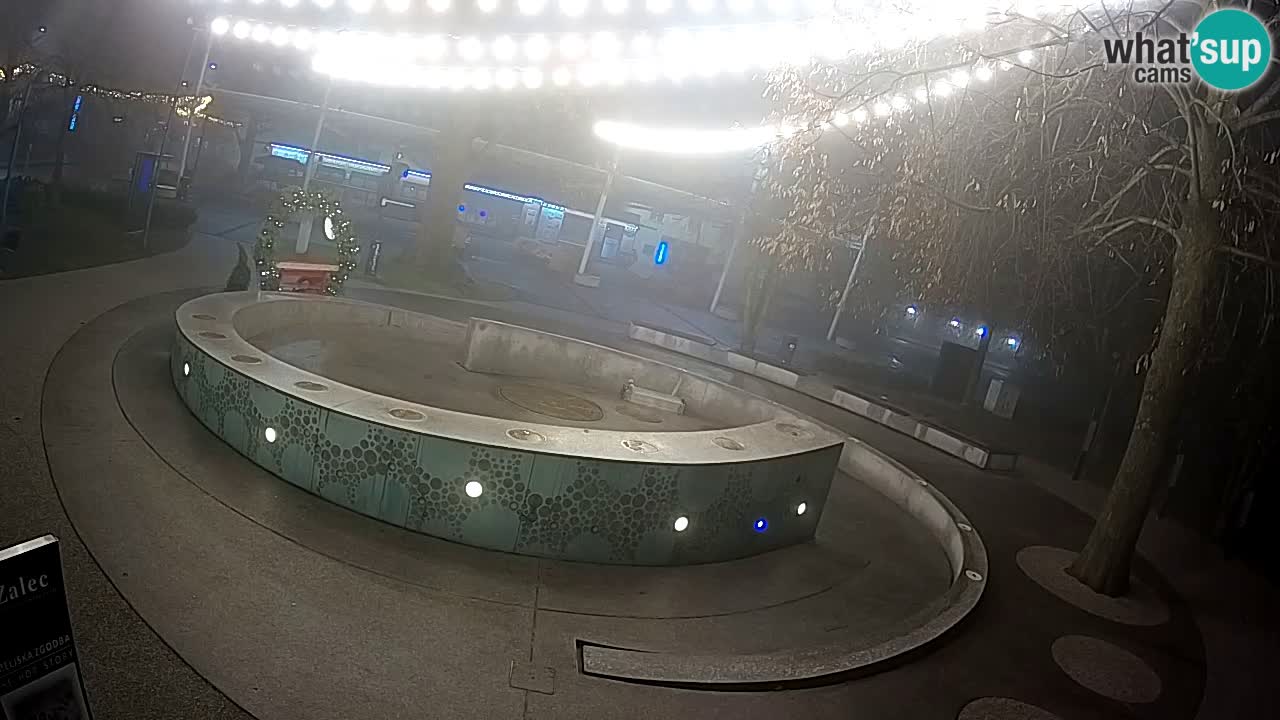 Fontana di birra Webcam – Oro verde – Žalec