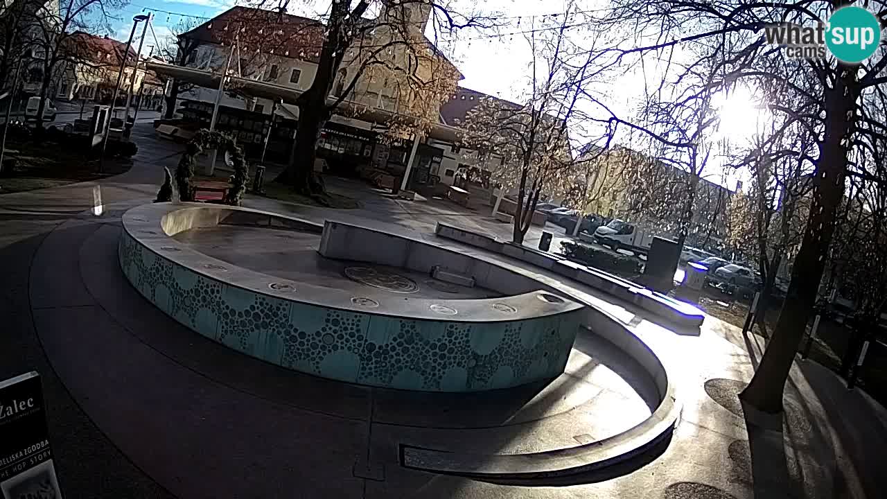 Fontaine à bière LIVE webcam – Or vert – Žalec