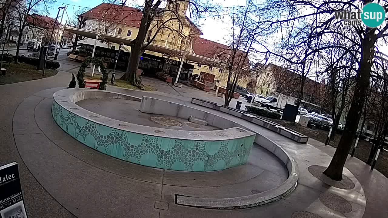 Bier-Springbrunnen Webcam Žalec – Grünen Goldes