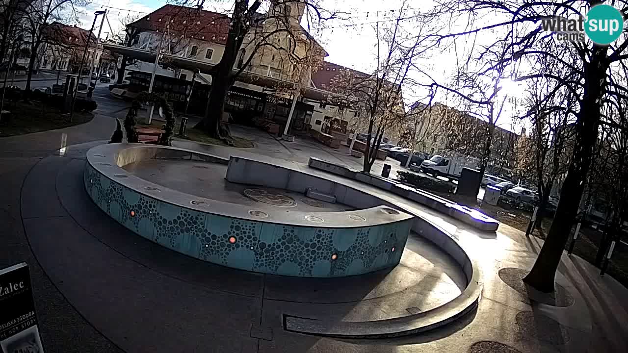 Camera en vivo Fuente de cerveza – Oro verde – Žalec