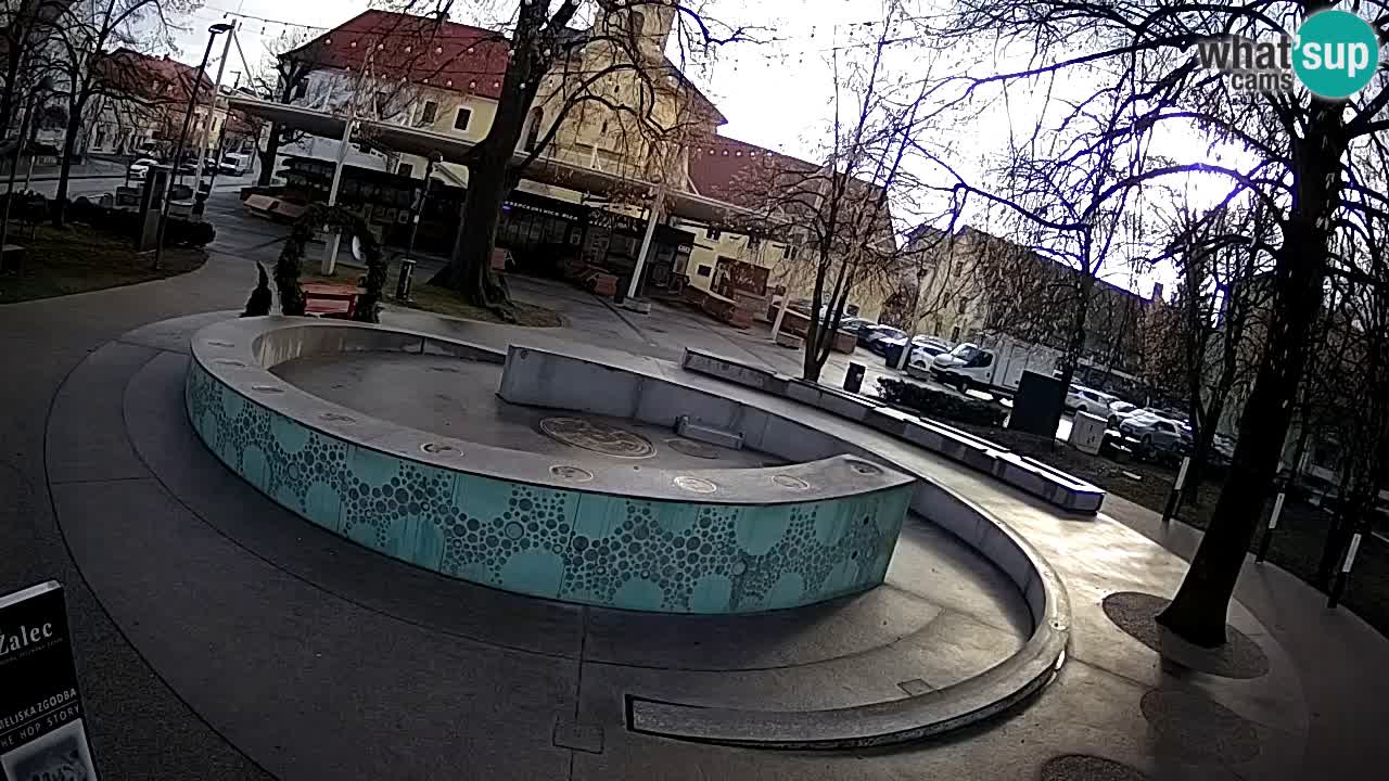 Fontana di birra Webcam – Oro verde – Žalec