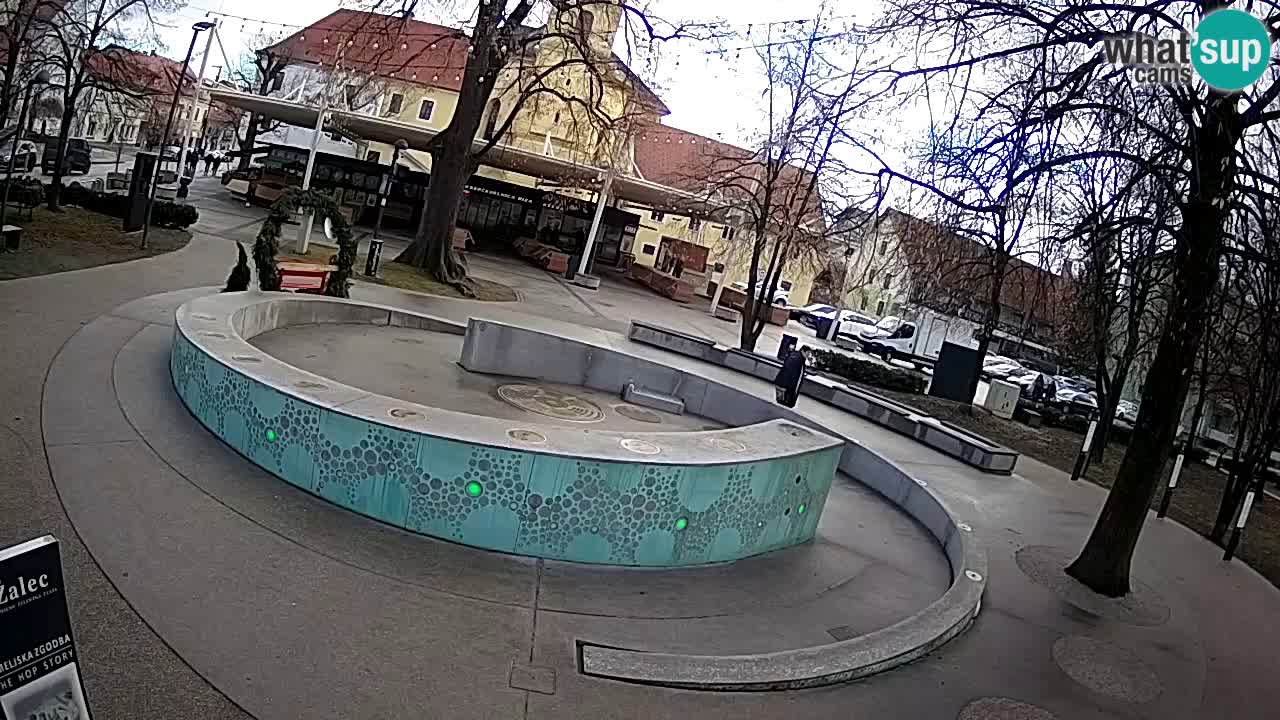Bier-Springbrunnen Webcam Žalec – Grünen Goldes