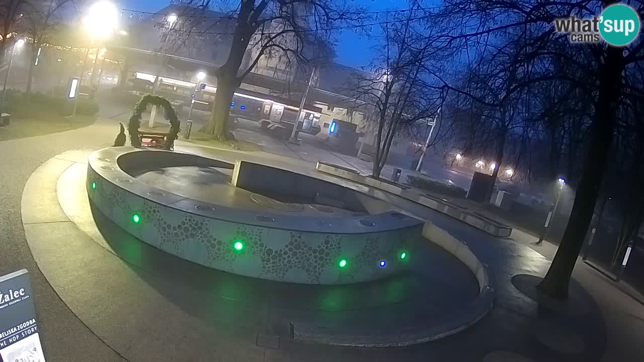 Bier-Springbrunnen Webcam Žalec – Grünen Goldes