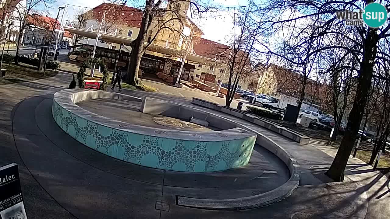 Camera en vivo Fuente de cerveza – Oro verde – Žalec