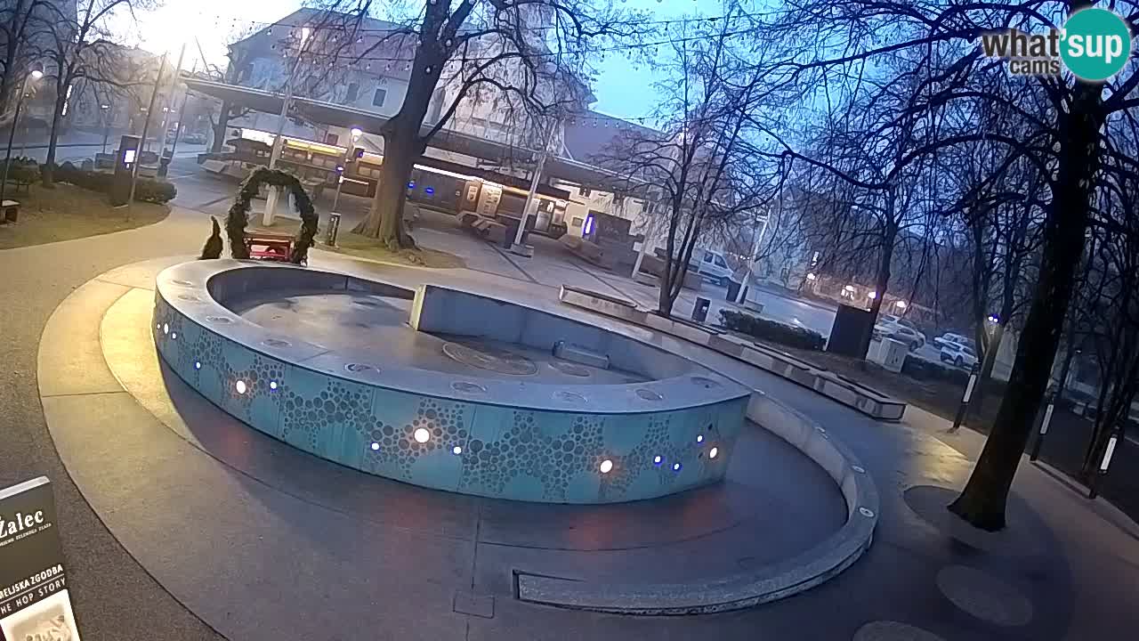 Bier-Springbrunnen Webcam Žalec – Grünen Goldes