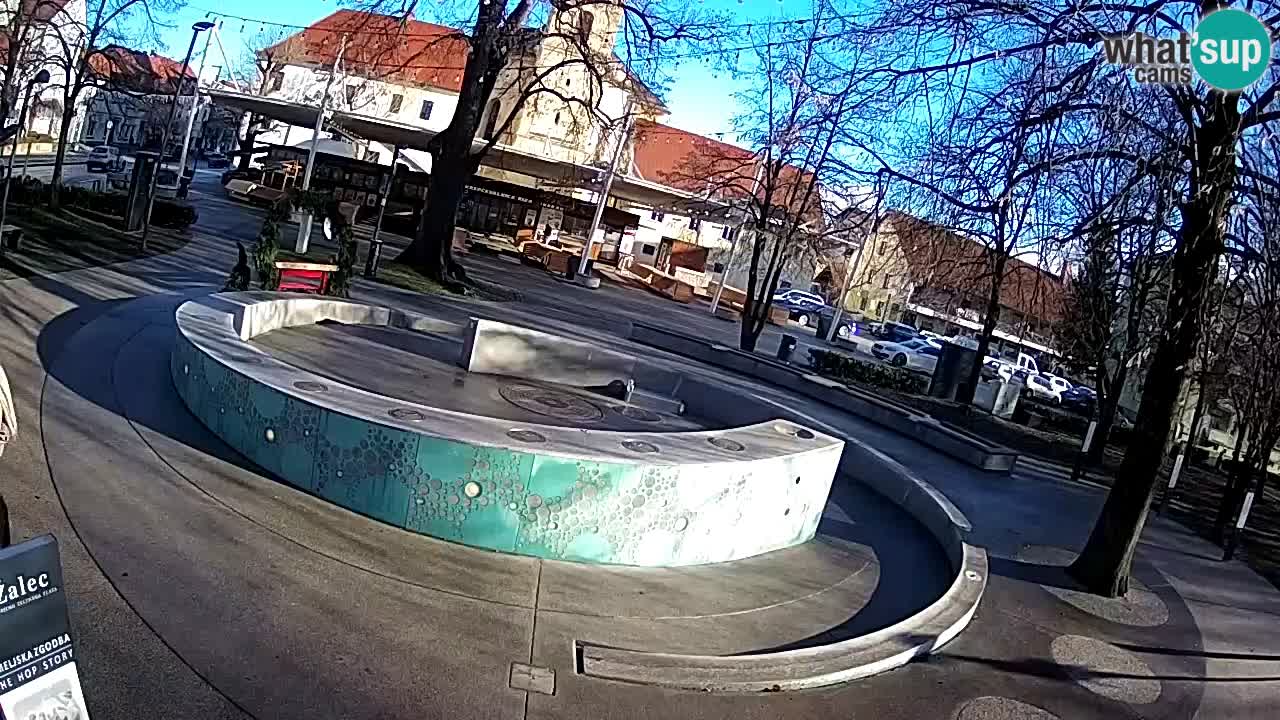 Spletna kamera Fontana Piv – Zeleno zlato Žalec