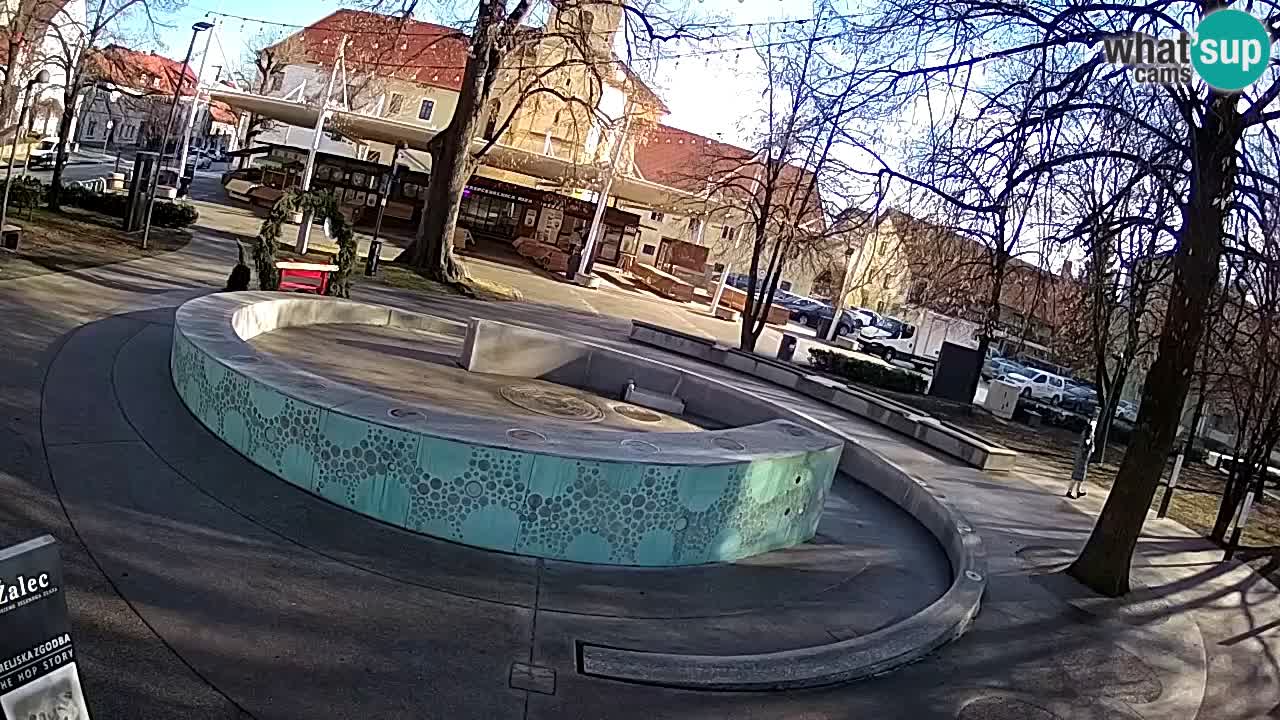 Spletna kamera Fontana Piv – Zeleno zlato Žalec