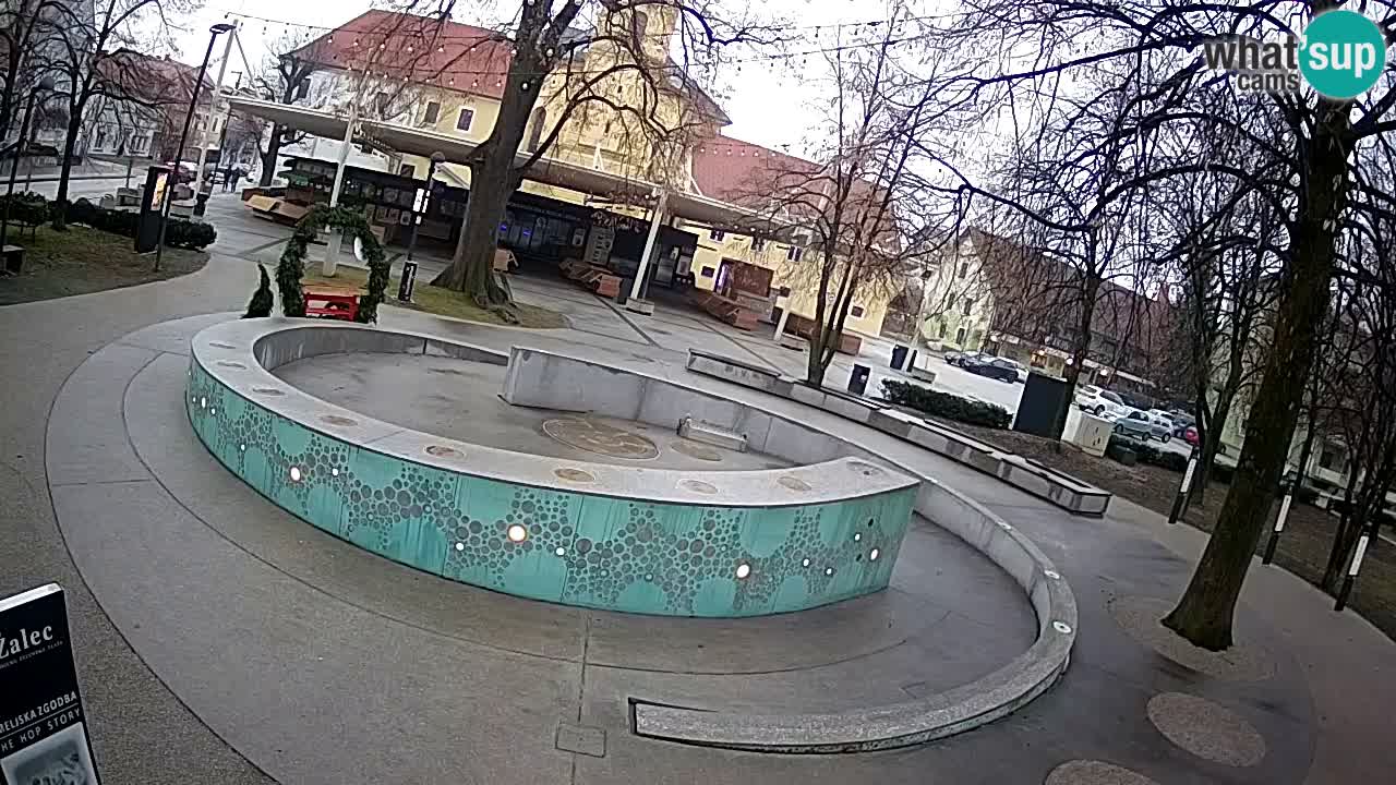 Camera en vivo Fuente de cerveza – Oro verde – Žalec