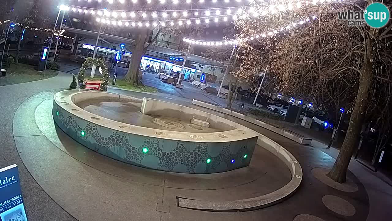 Fontaine à bière LIVE webcam – Or vert – Žalec