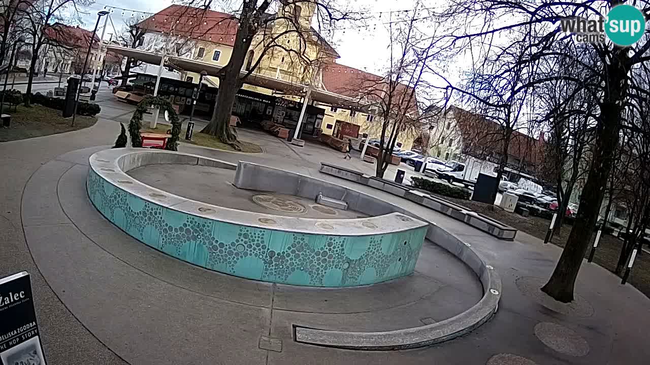 Fontana di birra Webcam – Oro verde – Žalec