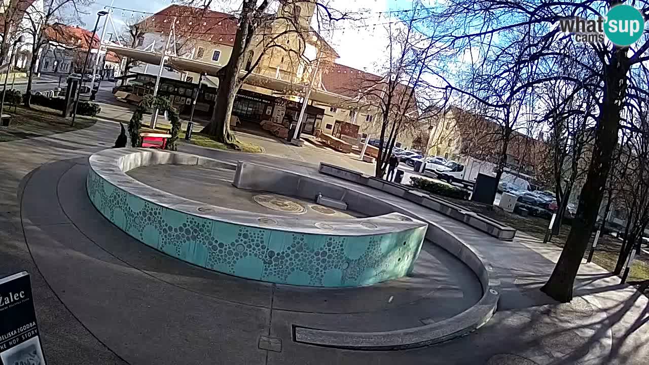 Fontana di birra Webcam – Oro verde – Žalec