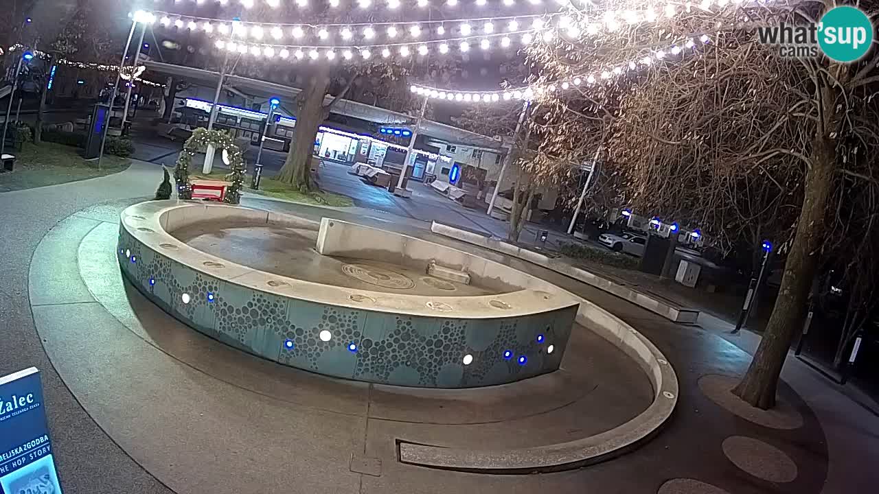 Web kamera Fontana piva – Zeleno zlato – Žalec