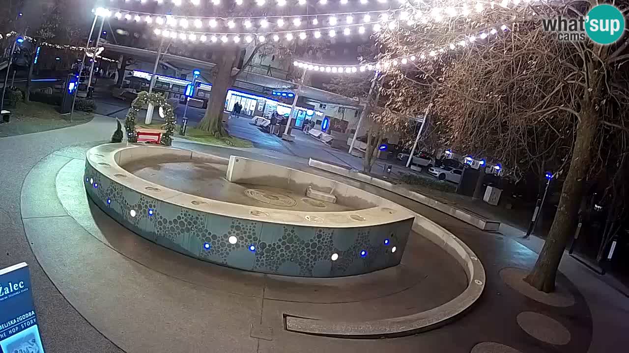 Fontana di birra Webcam – Oro verde – Žalec