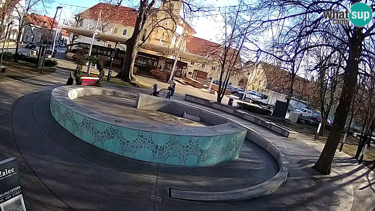 Fontaine à bière LIVE webcam – Or vert – Žalec