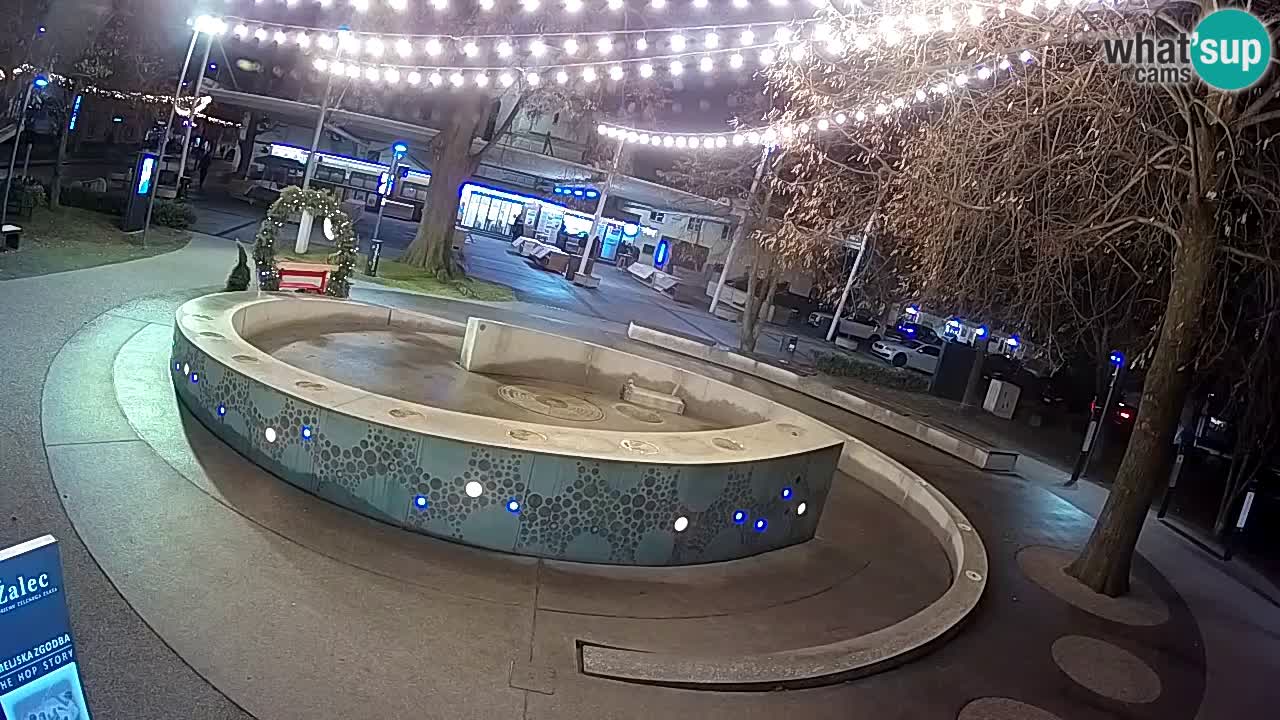 Fontana di birra Webcam – Oro verde – Žalec