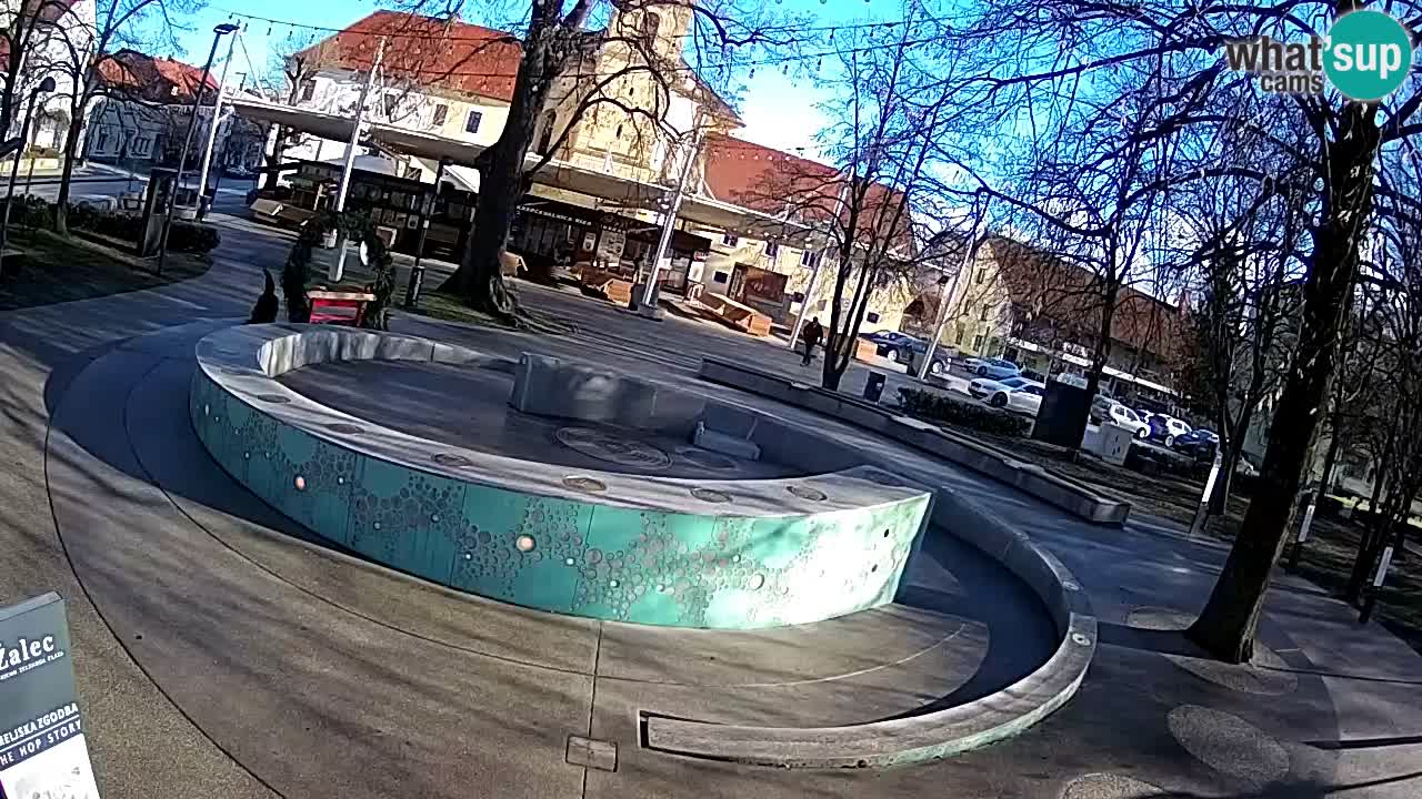 Camera en vivo Fuente de cerveza – Oro verde – Žalec