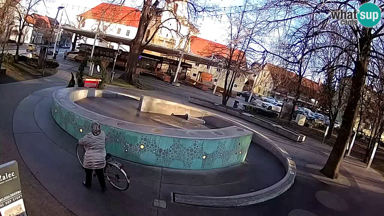 Camera en vivo Fuente de cerveza – Oro verde – Žalec