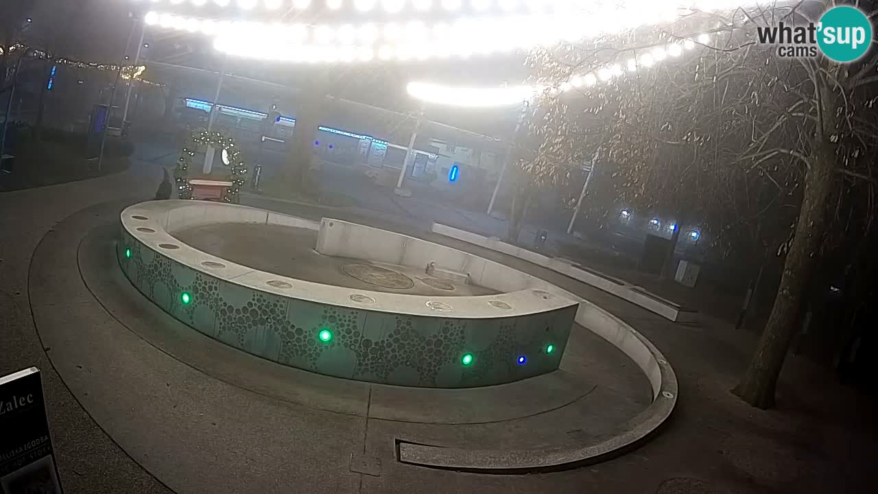 Fontaine à bière LIVE webcam – Or vert – Žalec