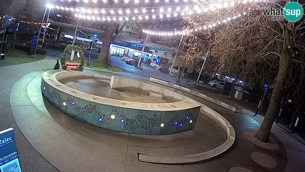 Camera en vivo Fuente de cerveza – Oro verde – Žalec