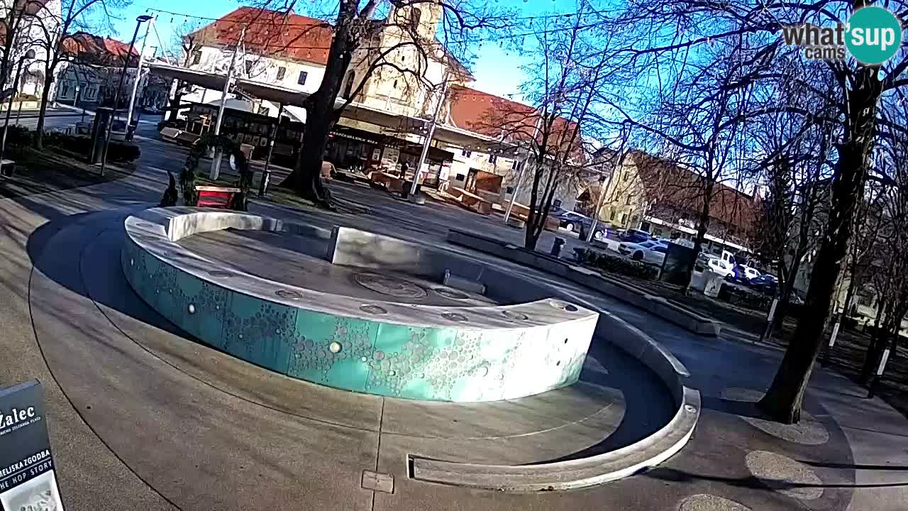 Fontaine à bière LIVE webcam – Or vert – Žalec